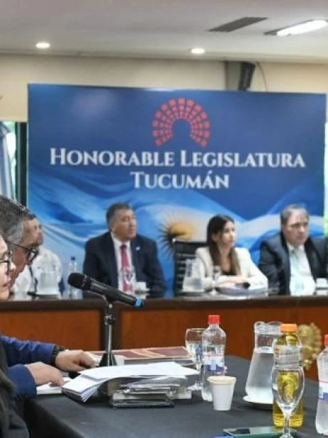 Un fuerte testimonio sacudió el juicio político contra la jueza Ballesteros